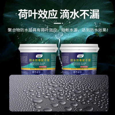 宝利思墙壁修复腻子膏墙体裂缝起皮修补膏20kg桶装补墙膏外墙专用图2