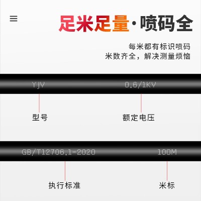 yjv电缆线国标纯铜2芯2.5 4 6 10 16 25 35 50 70 95 120平 方电线图4