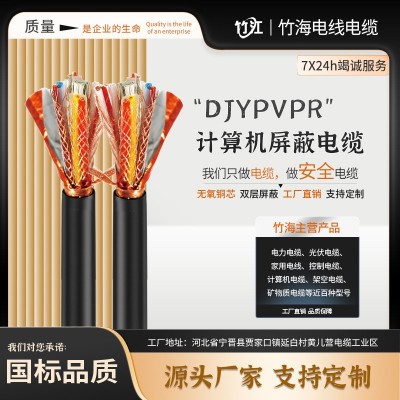 国标DJYPVP 屏蔽计算机电缆 阻燃国标 自动化控制专用 厂家直销