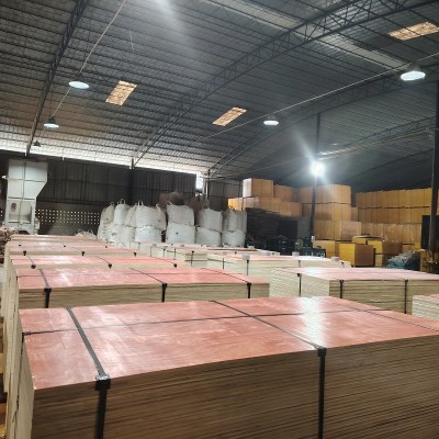 工地工程建筑模板 多周转次数水泥成型建筑多层胶合板建筑红板图4