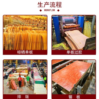 厂家供应高层工地建筑模板木工板专用整板整芯胶合板实木多层图4