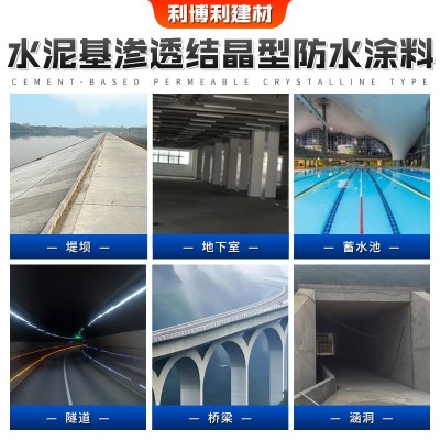 渗透结晶型防水涂料 渗透结晶工厂地下室停车场防水堵漏防水涂料图4