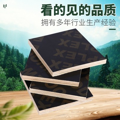 建筑模板多层密度黑覆膜板工地支模桥梁用木胶合板加工桥梁专用图2