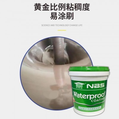 耐博仕 蓄水池防水 深层渗透耐水性强 水泥基渗透结晶防水涂料图2