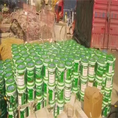 耐博仕 蓄水池防水 深层渗透耐水性强 水泥基渗透结晶防水涂料图3
