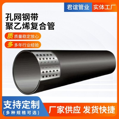孔网钢带复合管 市政建设排水管道消防给水管 孔网钢带管可定制图4