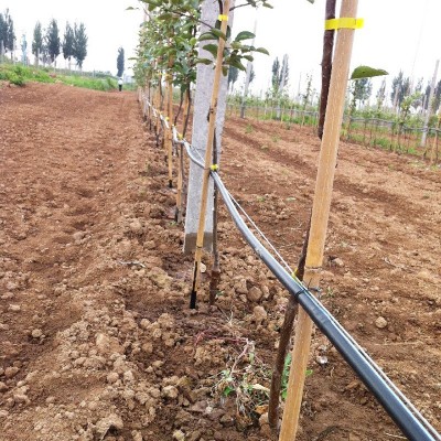 大量批发黑色16mm内镶圆柱式滴灌管 温室灌溉滴水管滴灌PE滴水管图4