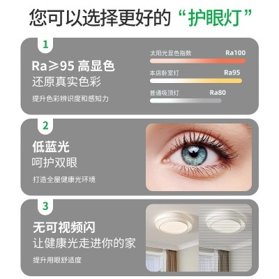 北欧现代简约大气客厅灯led全光谱护眼灯阳台书房卧室吊灯吸顶灯图3