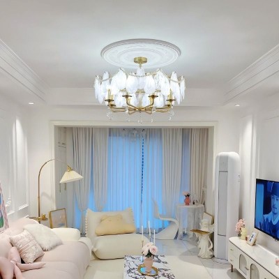 新款美式复古田园客厅吊灯餐厅卧室玄关玻璃贝壳羽毛珍珠黑色吊灯图4