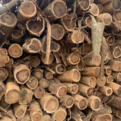 海南马尖，相思木，相思家具木，海南相思木板图2