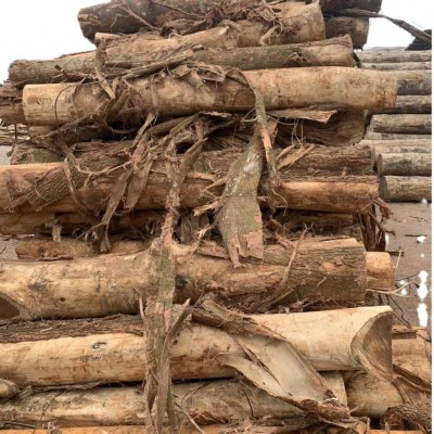 海南马尖，相思木，相思家具木，海南相思木板图4