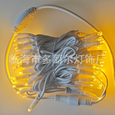 10米100灯LED橡胶线灌胶灯串户外亮化工程防水抗冻IP65彩灯带尾插图2