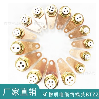 BTTZ矿物质电缆终端头 BTTVZ 多芯防火终端铜接头接地卡子4*4 4*6图3