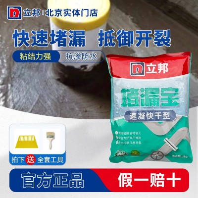 立邦水不漏堵漏王速凝型卫生间防漏快干水泥补漏填缝防水材料袋装