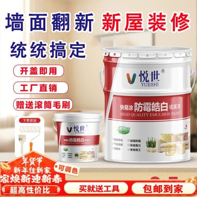 乳胶漆室内家用内墙漆清新超白净味防霉墙面漆20kg白色水性涂料