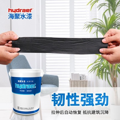 海聚液体防水聚氨酯防水涂料隧道工程卫生间屋顶防水补漏厂家补缝图2