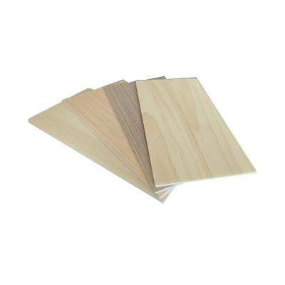 玻纤树脂板A级阻燃防潮防水墙面装饰材料 幼儿园养老院医院防火板图2