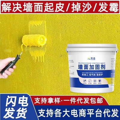 墙固界面剂内墙加固剂墙面胶强固地固涂料水泥地面防水防潮固化剂