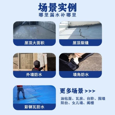 跨境屋顶防水涂料专用补漏液体卷材顶楼堵漏王水性聚氨酯防水材料图4