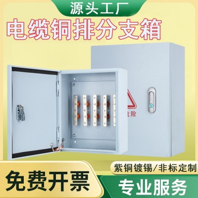 绝缘电缆铜排T接箱户外低压铜排分支箱室内明装楼层转换接线端箱图5