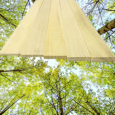 桐木板薄木片实木板diy手工模型制作隔板置物架泡桐木条可定直销图4