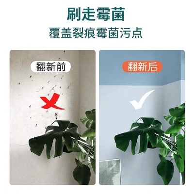 立邦竹炭抗污5合1抗甲醛内墙漆5L