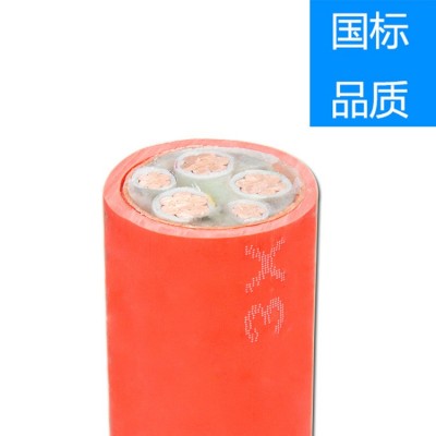 严选防火电缆YTTW生产厂家批发4*70+1*35矿物质绝缘柔性 电线电缆图4