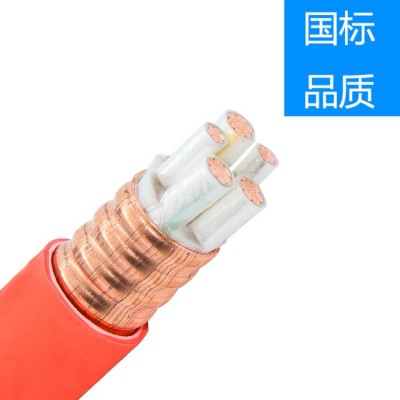 严选防火电缆YTTW生产厂家批发4*70+1*35矿物质绝缘柔性 电线电缆图3