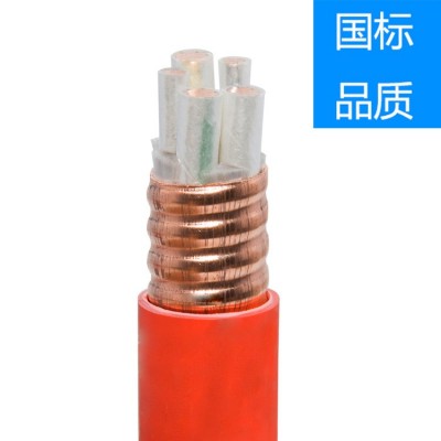 严选防火电缆YTTW生产厂家批发4*70+1*35矿物质绝缘柔性 电线电缆