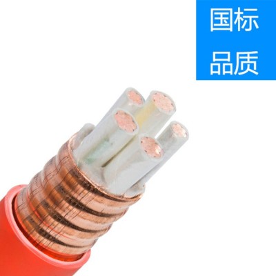 严选防火电缆YTTW生产厂家批发4*70+1*35矿物质绝缘柔性 电线电缆图2