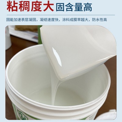 丙稀酸透明防水涂料材料厂家 卫生间窗台内外墙楼顶补漏防漏图2