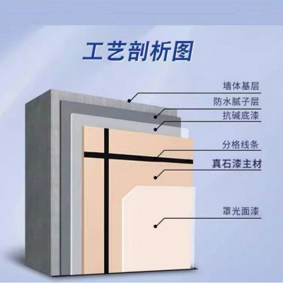 厂家批发天然真石漆外墙真石漆环保防霉仿大理石外墙别墅 涂料装修图3