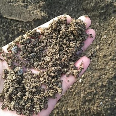 厂家直供成都眉山普通石子工程园林铺路灰色小石子批发图3