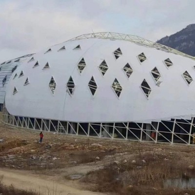 定制热塑性聚烯烃TPO防水卷材钢结构屋面建筑tpo高分子防水卷材防图4