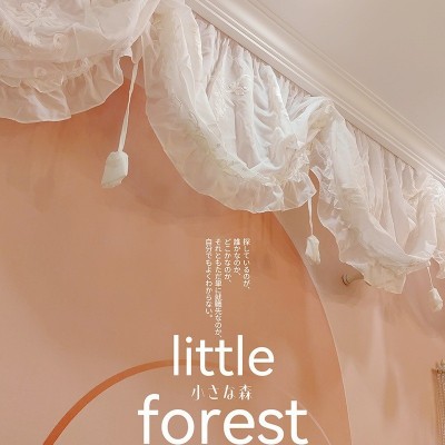 原创花苞拉绳设计开司米刺绣丝棉窗幔帘头短帘窗纱复古法式帘图4