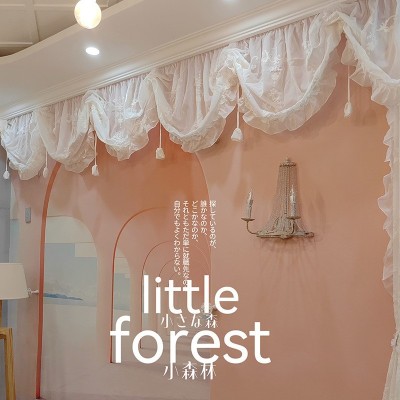 原创花苞拉绳设计开司米刺绣丝棉窗幔帘头短帘窗纱复古法式帘