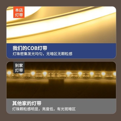 led灯带220v户外防水超亮自粘线形灯家用客厅吊顶氛围灯COB软灯条图2