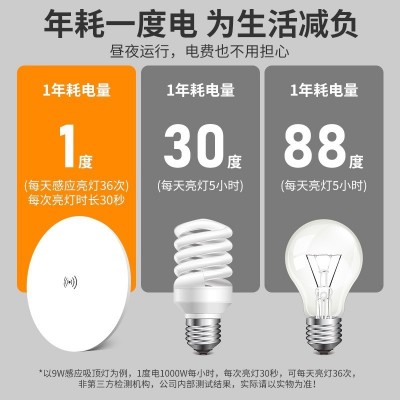 感应灯楼梯吸顶灯过道楼道走廊人体2025新款雷达入户门自动声控灯图3