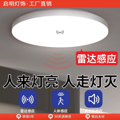 感应灯楼梯吸顶灯过道楼道走廊人体2025新款雷达入户门自动声控灯