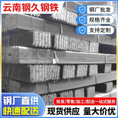 云南厂家直供镀锌角钢50*50热镀锌万能角铁Q235B室外用带孔三角铁图2