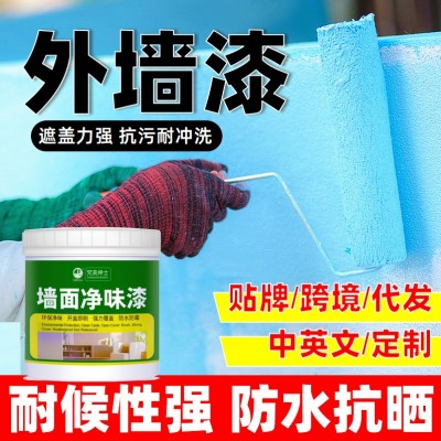 外墙乳胶漆涂料墙面漆防晒耐候翻新改色白色彩色油漆跨境工厂代发