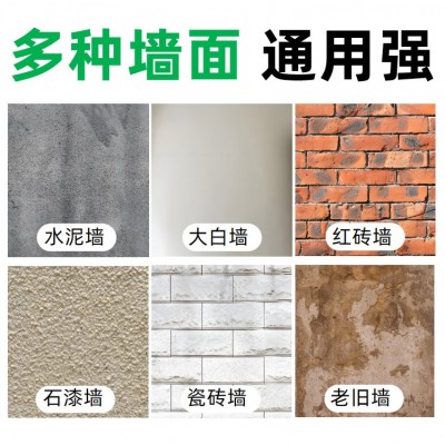 外墙乳胶漆涂料墙面漆防晒耐候翻新改色白色彩色油漆跨境工厂代发图2