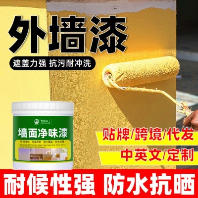 外墙乳胶漆涂料墙面漆防晒耐候翻新改色白色彩色油漆跨境工厂代发图4