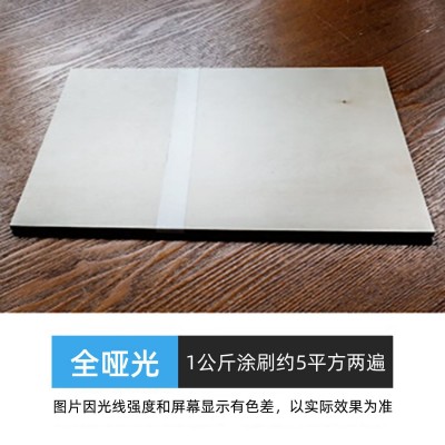 全哑光清漆水性透明清漆木地板家具漆室内户外防水防霉耐 磨木器漆图2