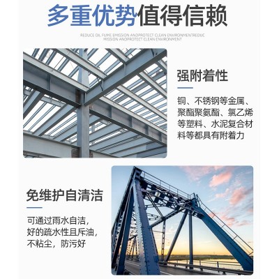 定制钢结构氟碳漆 耐酸碱重防腐油漆 户外栏杆机械金属防锈氟碳漆图2