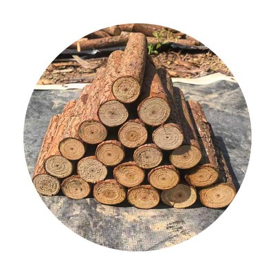 乔迁之喜装饰红果柴火摆件2026新居布置搬家入伙仪式用品入宅礼物图5