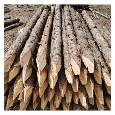 精品松木桩原木景观装修工地河堤防汛用削尖打桩木桩厂家现货直发图5