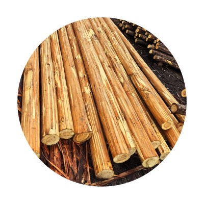 削皮原木木材加工打桩杉木桩松木桩包装箱托盘木材林场多规格直销图5