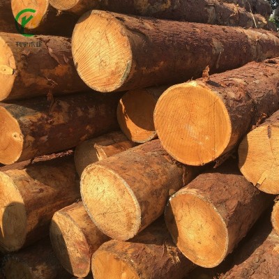 厂家批发落叶松实木板材烘干板材沙发条落叶松垫木枕木原木打桩木图4