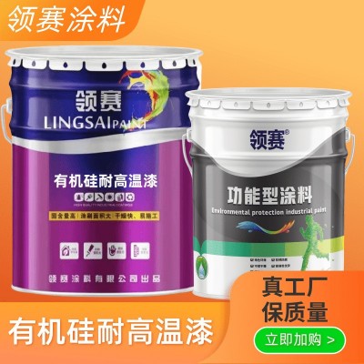 有机硅耐高温漆现货批发 化工车间锅炉防腐漆高温管道防锈漆图4